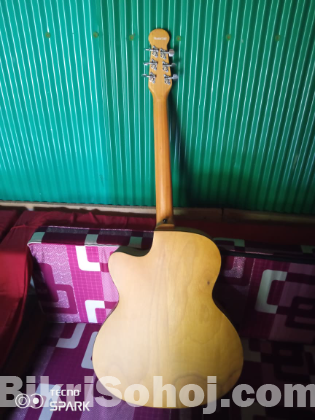 Signature guitar